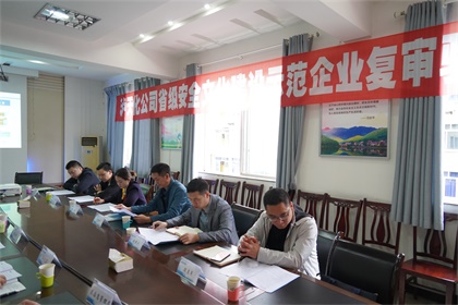 泸天化安全文化示范企业复评验收 (5).JPG