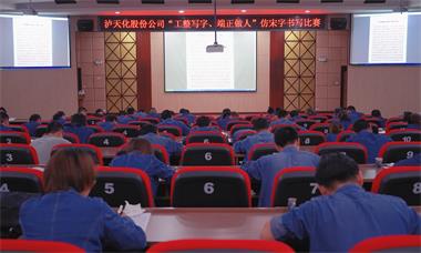 泸天化股份公司团委举行仿宋字书写比赛