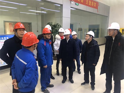 泸天化股份公司党委书记廖廷君率队赴中盐红四方公司及史丹利公司调研