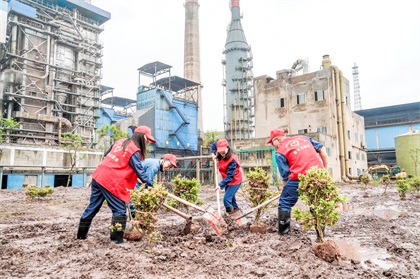泸天化股份公司开展义务植树活动