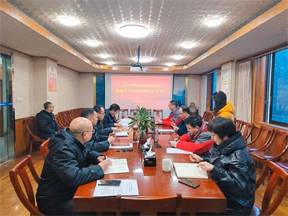 泸天化股份公司领导班子召开党史学习教育专题民主生活会