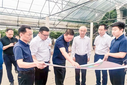 泸州市委常委、组织部长曹斌率队调研泸天化纳溪现代农业种植园项目