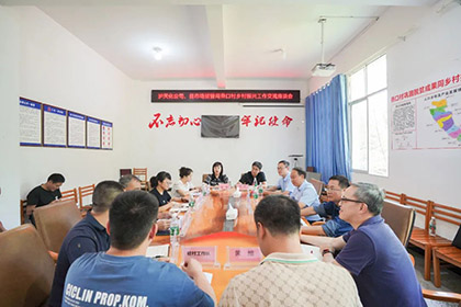 泸天化对口帮扶燕口村促乡村振兴