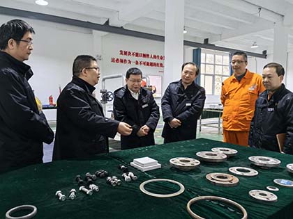 泸天化股份公司纪委书记陈伟率队到弘旭公司调研指导工作